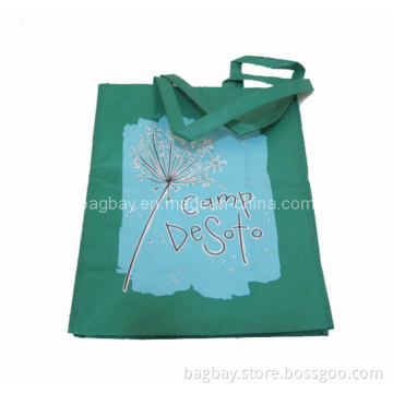 Laminated PP Non Woven Shopping Bag (NSBG09-021)
